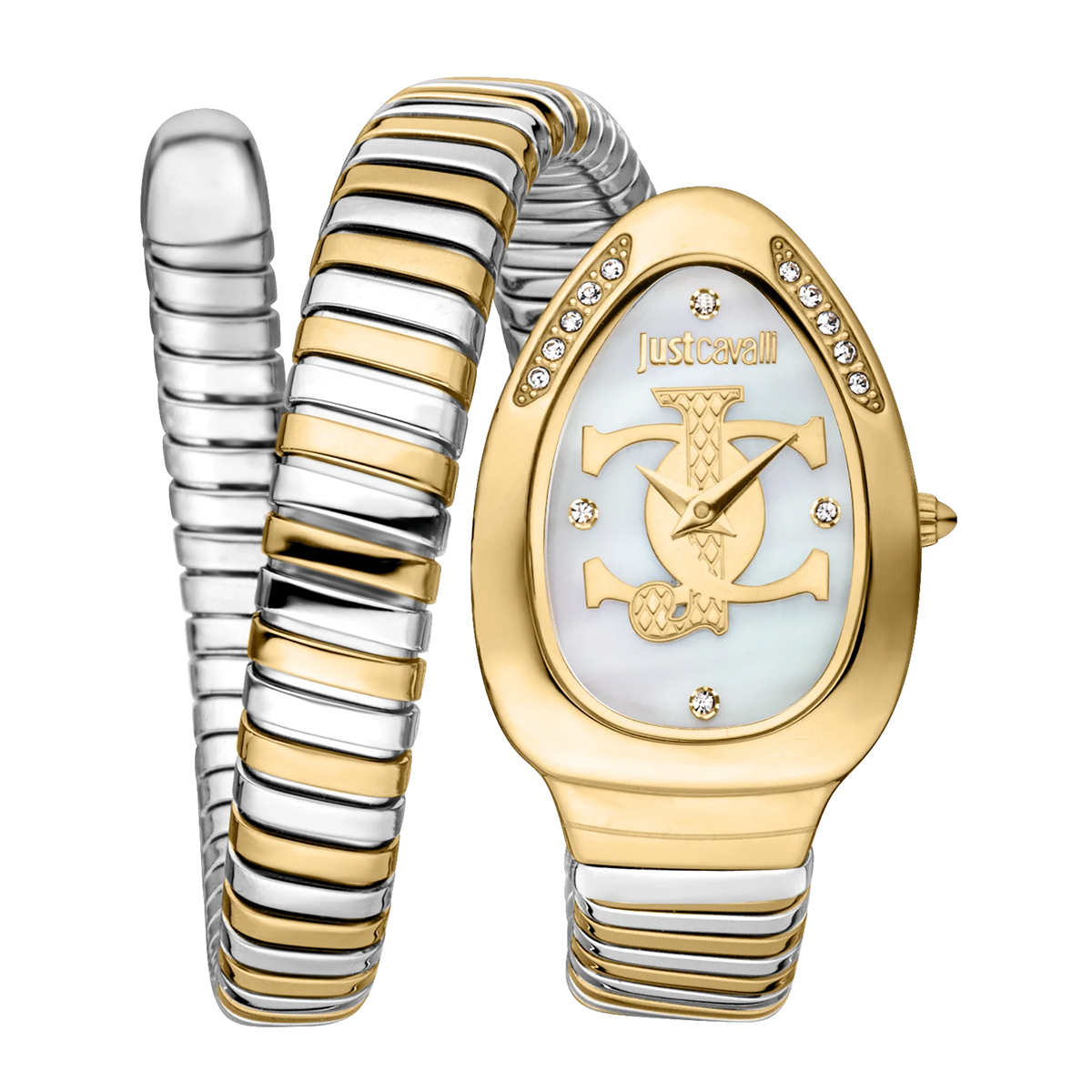 MONTRE JUST CAVALI FEMME ACIER